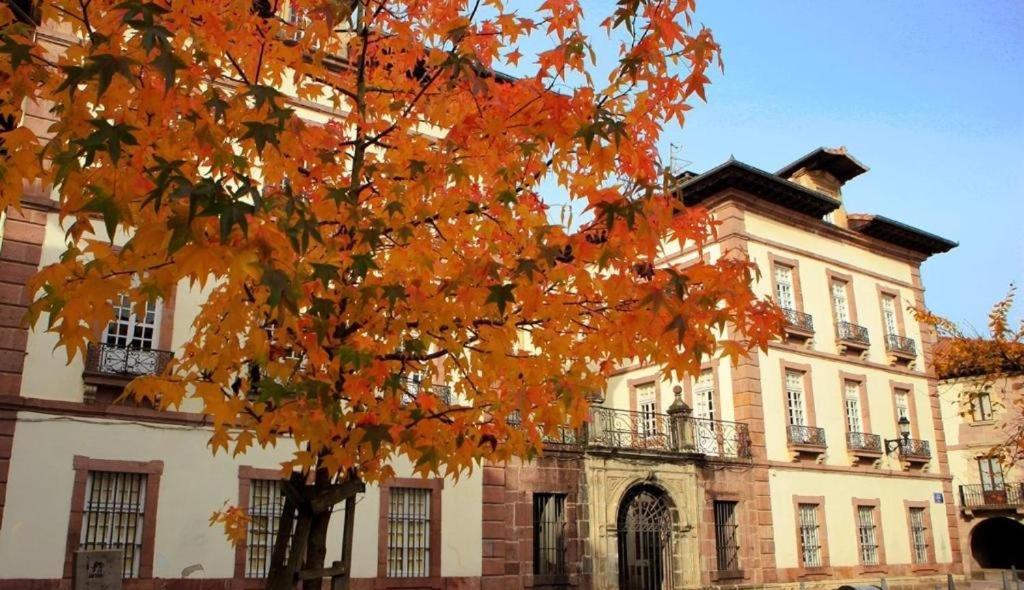 Ferienwohnung Pedroenea Apartamento Elizondo Exterior foto